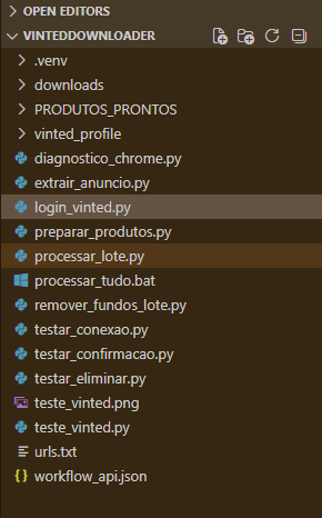 Vinted processed files and product workflow
